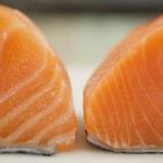 Do you know the difference between farmed and wild salmon?