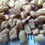 Fenugreek is a plant that can change your life