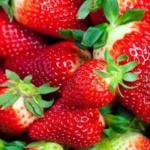 The Miraculous Properties of Strawberry Leaves