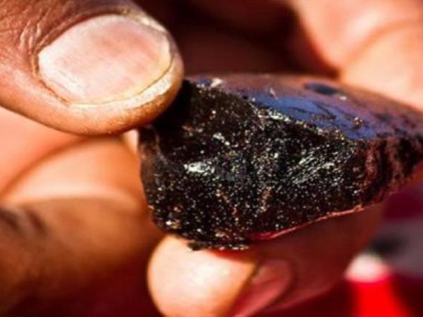 For years, Himalayan shilajit resin was a closely guarded secret