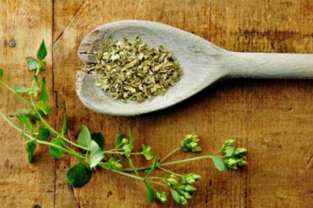 Incredible properties of oregano tea