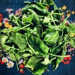 7 Spring Superfoods
