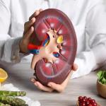 The Influence of Fruits and Vegetables on Kidney Health