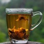 Ayurvedic water with spices