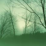 Autumn depression is becoming a growing problem. How to fight against it?