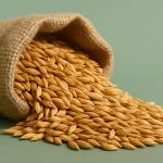 Barley water against hormones that stimulate appetite