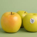 What is the difference between red and golden apples?