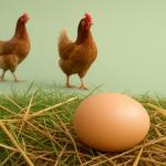 Do you know what the shelf life is for boiled eggs?