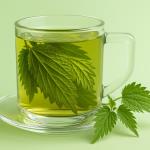 What Candida Is Afraid Of