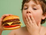 Why We Should Eat More Fats