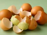 5 unusual uses for eggshells