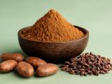 Cocoa Powder: The Secret Ally Against Fatty Liver and Excess Weight That Most People Ignore