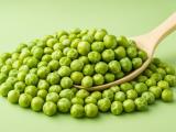 Peas that Mendel didn’t know as medicine: the wrinkled variety hides the secret of stable blood sugar