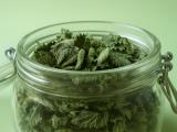 Nettle: a remedy from God that you can find by the forest and that really helps with allergies, rheumatism, and prostate issues