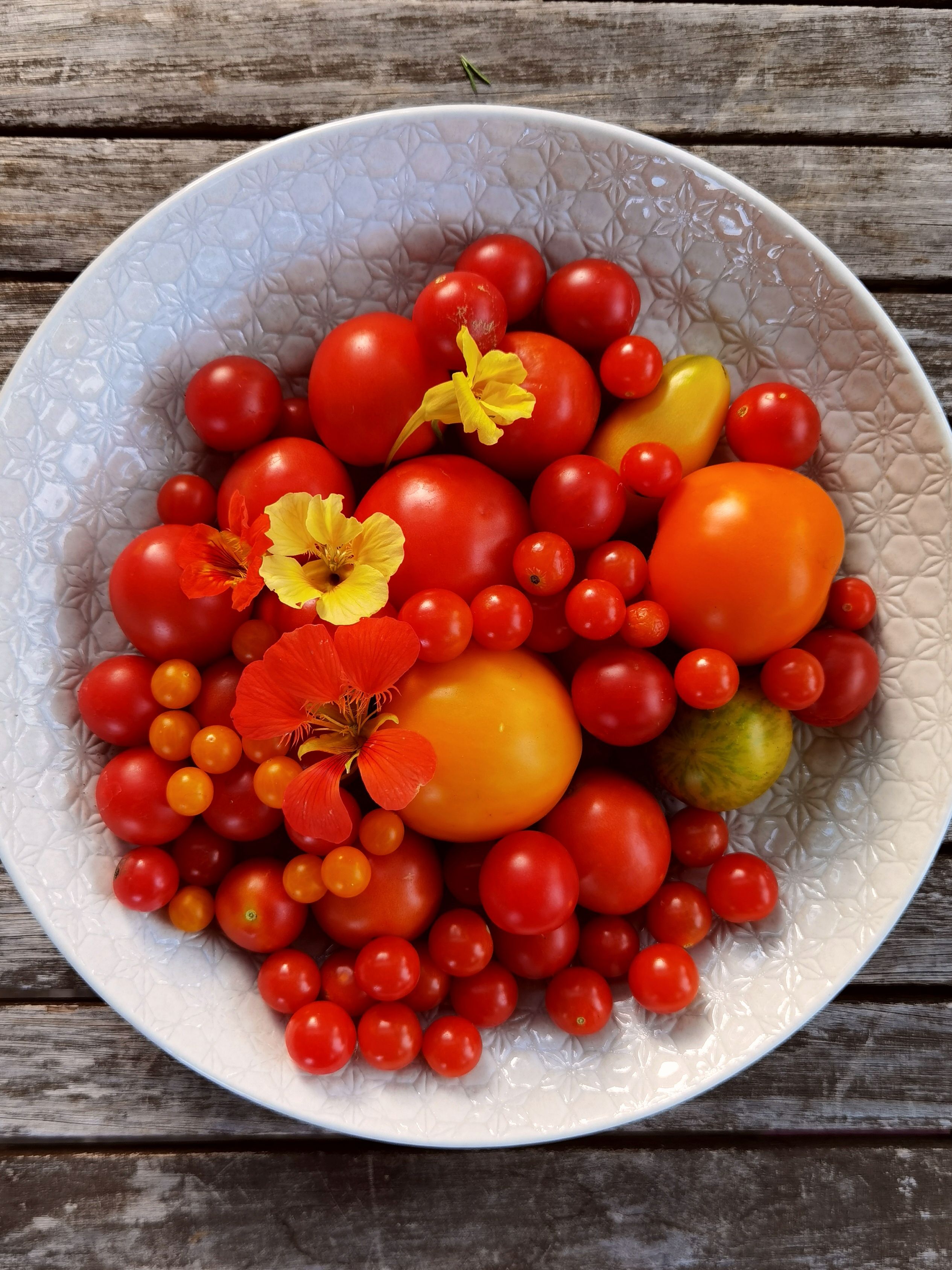 Summer Tomatoes: Why This Simple Fruit Deserves a Daily Spot on Your Plate