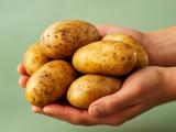 The Forgotten Power of Potato Juice: Why It Deserves a Second Look