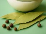 The Kitchen Spice That Ruins a Bug's Whole Day: How Bay Leaves Work Their Magic