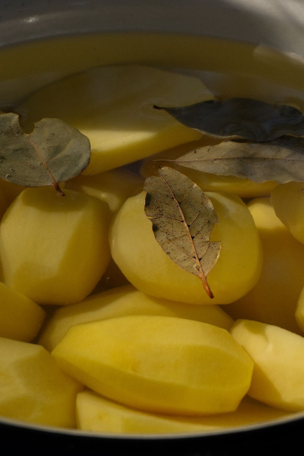 The Kitchen Spice That Ruins a Bug's Whole Day: How Bay Leaves Work Their Magic