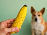 When a Banana Turns Spotty: What Those Brown Freckles Really Mean for Your Health