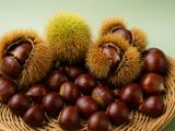 Chestnuts: One of Humanity's Oldest Foods, and a Snack That Keeps You Full for Hours