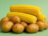 The Potato of the Future: Less Acrylamide When Fried and Less Food Waste – Is Genetically Engineered Food the Answer?